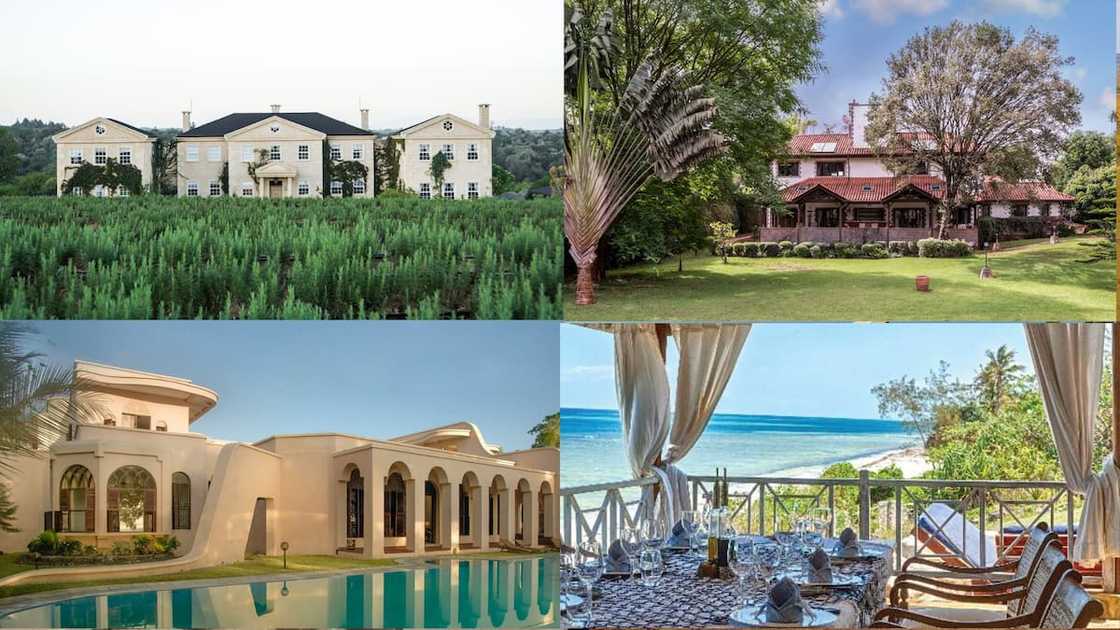 top real estate companies in kenya top real estate companies in kenya