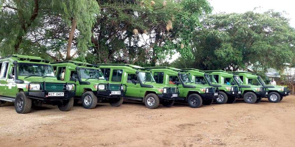 Nahdy Travel & Tours limited vehicles Nahdy Travel & Tours limited vehicles