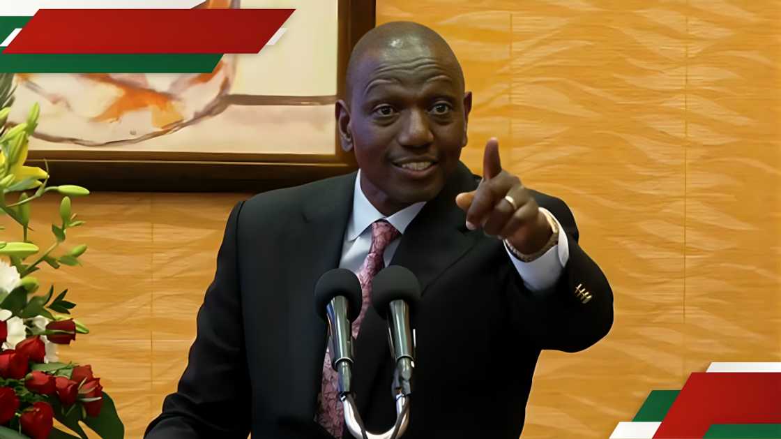 William Ruto Aonyesha Imani, Asema Ataushinda Upinzani wa Aina Yoyote Wowote: "Nitawakaranga" William Ruto Aonyesha Imani, Asema Ataushinda Upinzani wa Aina Yoyote Wowote: "Nitawakaranga"
