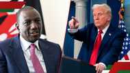 Kenya's diaspora remittances rise to KSh 645b amid Trump's plans to impose tax