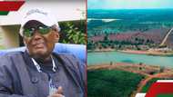 Chris Kirubi: Ndani ya shamba la ekari 1,000 la bilionea hayati Chris Kirubi lenye ziwa, parachichi