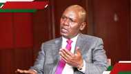 William Kabogo wows to popularise William Ruto in Mt Kenya: "His greetings will be received"
