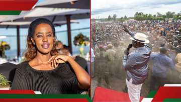 Lilian Nganga upset after William Ruto is hit with shoe: "Achieves nothing"