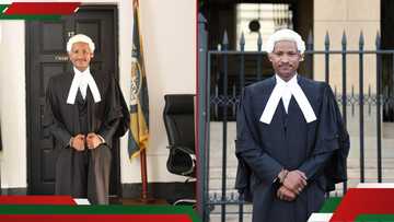 Ahmednasir Abdullahi Lauds Babu Owino after Admission to Advocate's Bar: "Nairobi Needs Him"