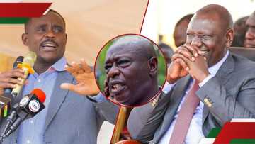 Cleo Malala alleges plot to arrest Rigathi Gachagua, dares govt: “Utajua hii Kenya”