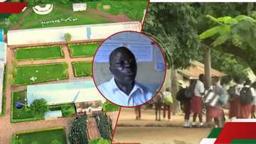 Kisumu: Puzzle as primary school receives KSh 4k only capitation money from govt