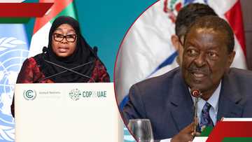 Kenyans slam Mudavadi for backing Samia Suluhu's controversial remarks: "Displaying ignorance"