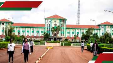 Moi University sacks hundreds of employees in cost-cutting measures