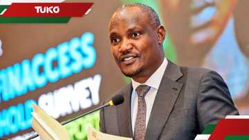 Finance Bill 2025: Striking a balance between revenue generation and economic growth