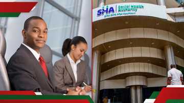 SHA invites applications for top managerial job positions in May
