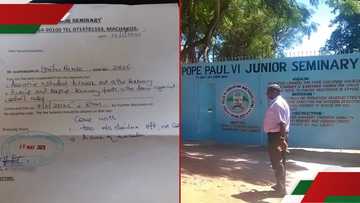 Machakos: Hilarious reactions as suspended seminary student is asked to return with sack of avocados