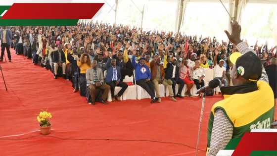 Hustler Fund: Government mulls KSh 6 billion debt write off as 10m Kenyans default